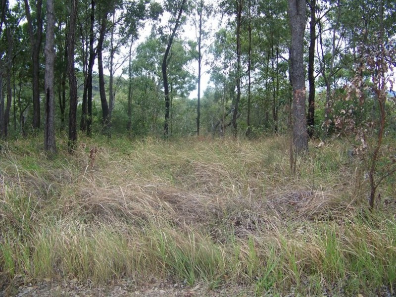 13 Beelong St, Macleay Island QLD 4184