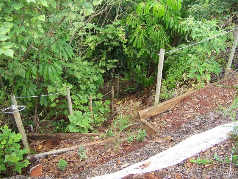 30 TINA AV, Lamb Island QLD 4184