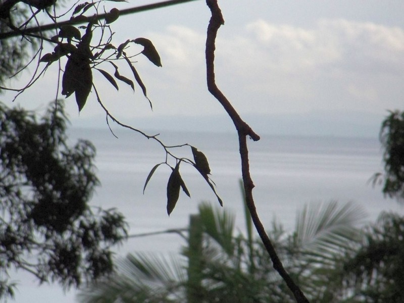 Lamb Island QLD 4184