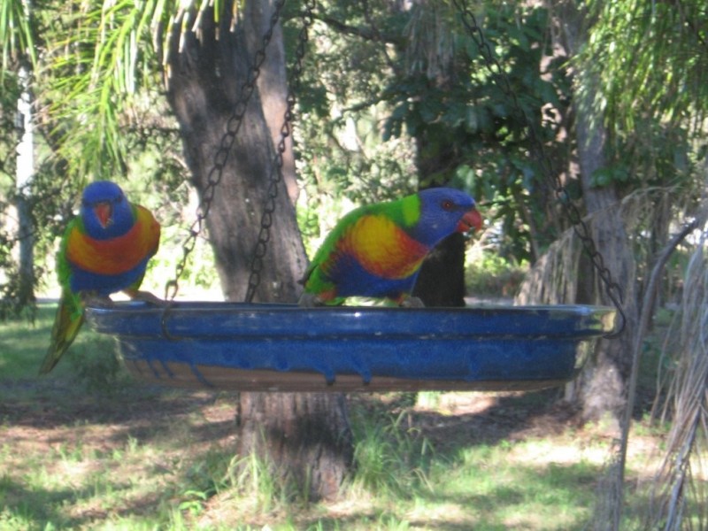 Lamb Island QLD 4184