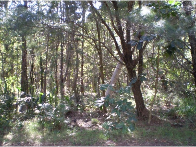 21 NOOGIE ST, Macleay Island QLD 4184