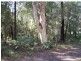 21 NOOGIE ST, Macleay Island QLD 4184