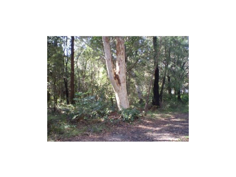21 NOOGIE ST, Macleay Island QLD 4184
