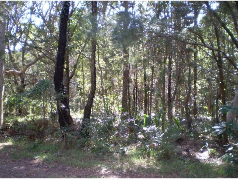 21 NOOGIE ST, Macleay Island QLD 4184