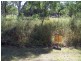 180-180A LUCAS DR, Lamb Island QLD 4184