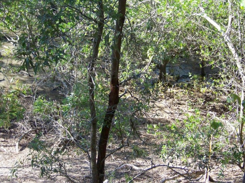 59 PERULPA DR, Lamb Island QLD 4184