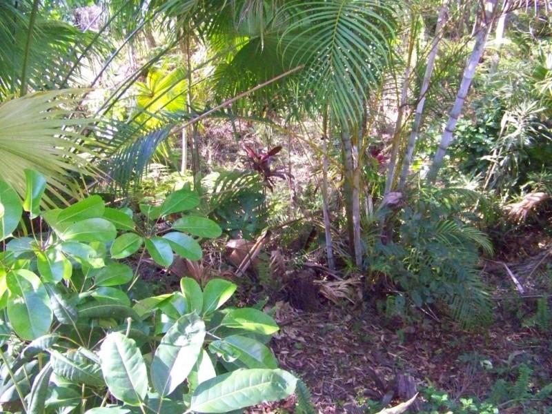 59 PERULPA DR, Lamb Island QLD 4184