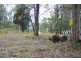 33 GOODSELL CRES, Lamb Island QLD 4184