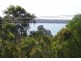 58 Coondooroopa Drive, Macleay Island QLD 4184