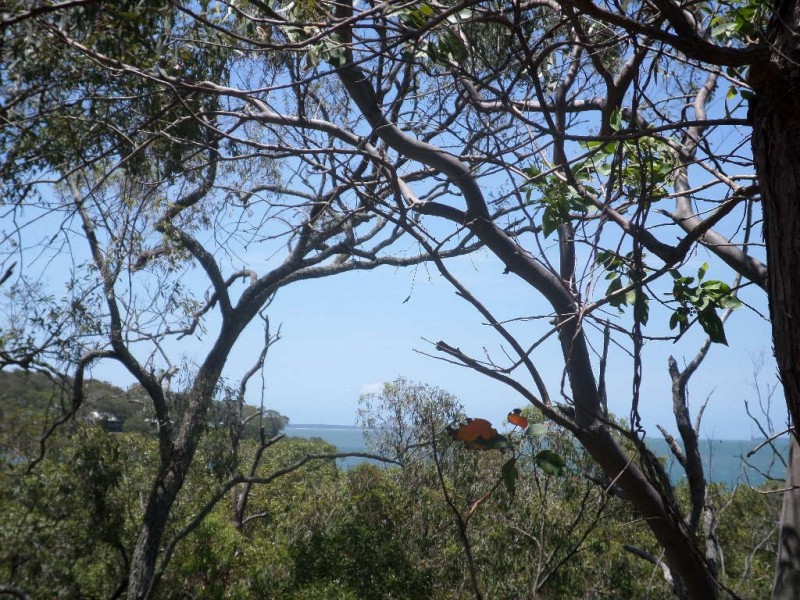 7 BEELONG STREET, Macleay Island QLD 4184