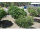 2 Mawarra St, Macleay Island QLD 4184