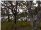 5 Cliff Terrace, Macleay Island QLD 4184