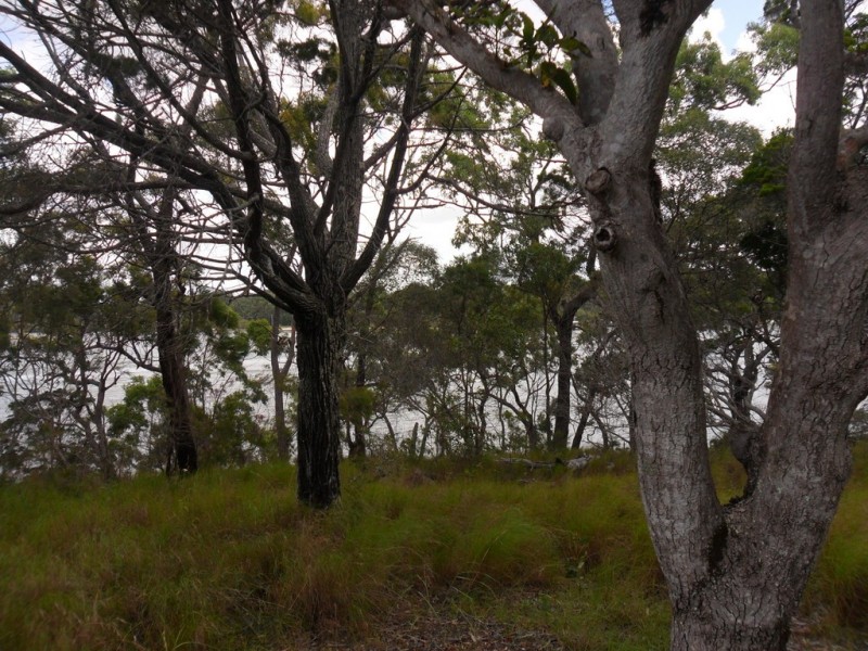 5 Cliff Terrace, Macleay Island QLD 4184