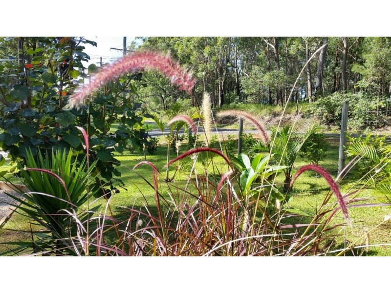 51 Hume Street, Russell Island QLD 4184