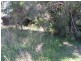 10 LAVENDER ST, Lamb Island QLD 4184