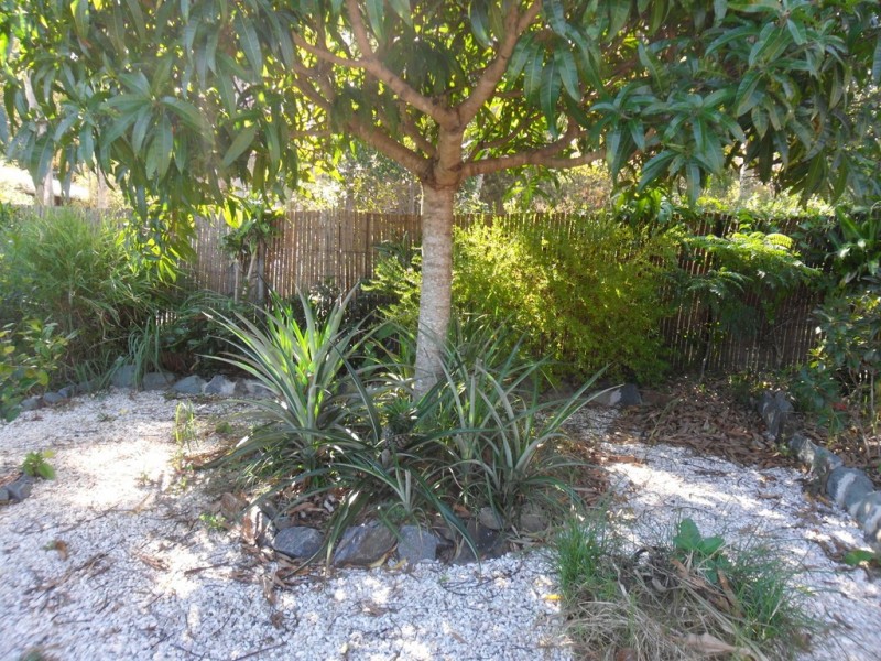 15 Frangipanni Street, Russell Island QLD 4184