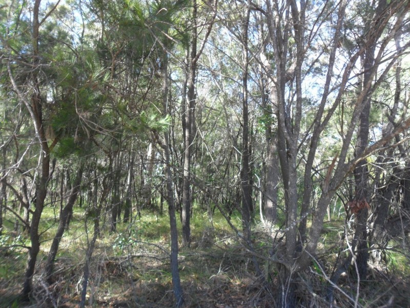 1 Heath Street, Macleay Island QLD 4184