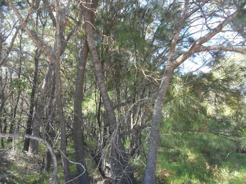 19-21 Morwong Street, Macleay Island QLD 4184