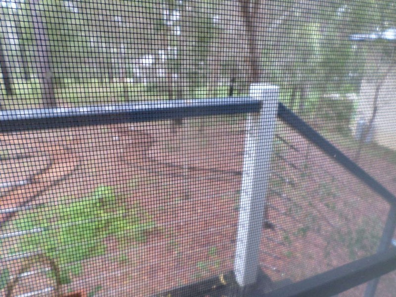 5 RAY STREET, Macleay Island QLD 4184