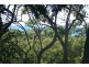 11 Beelong St, Macleay Island QLD 4184