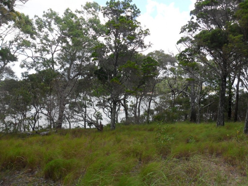 6 Cliff Terrace, Macleay Island QLD 4184
