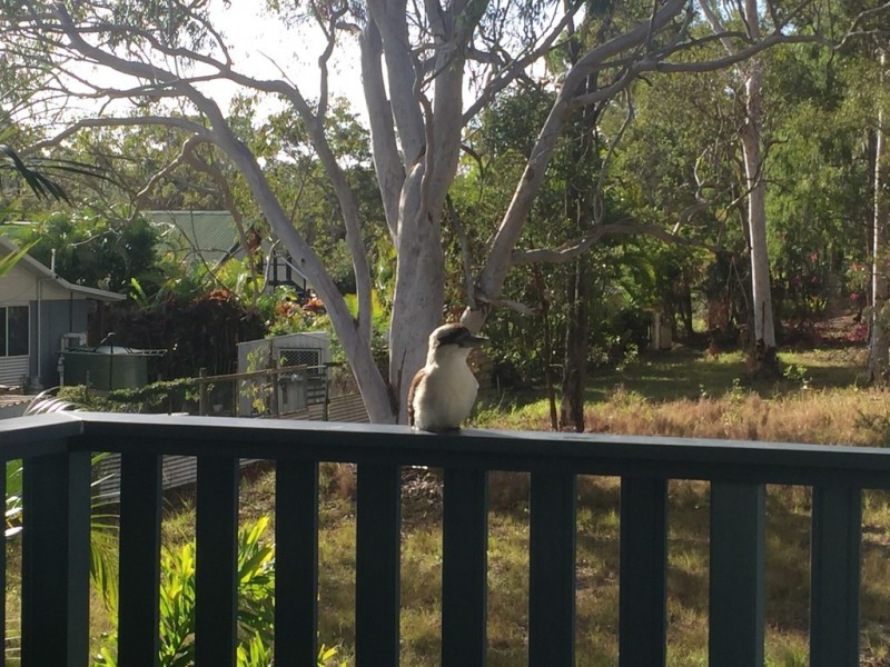 15 Rhodes St, Macleay Island QLD 4184