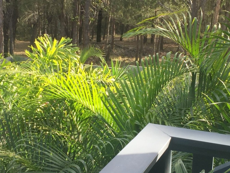 15 Rhodes St, Macleay Island QLD 4184