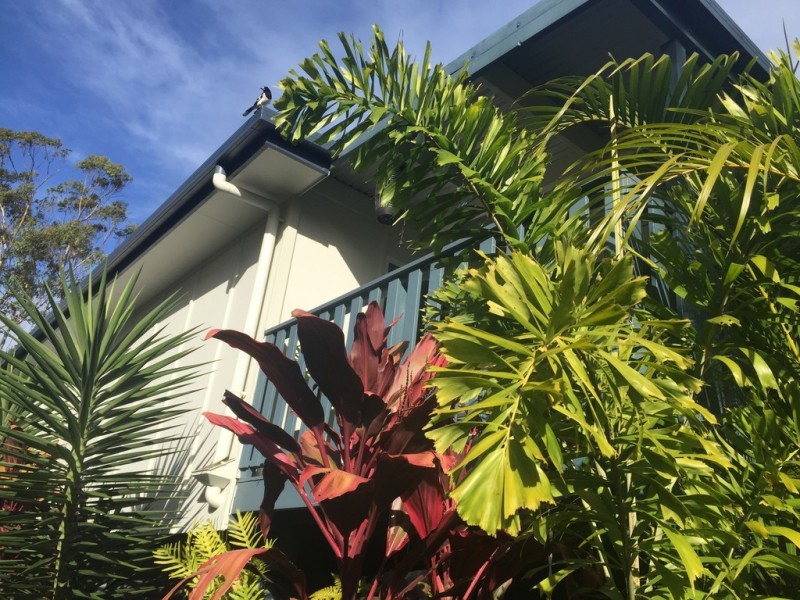 15 Rhodes St, Macleay Island QLD 4184