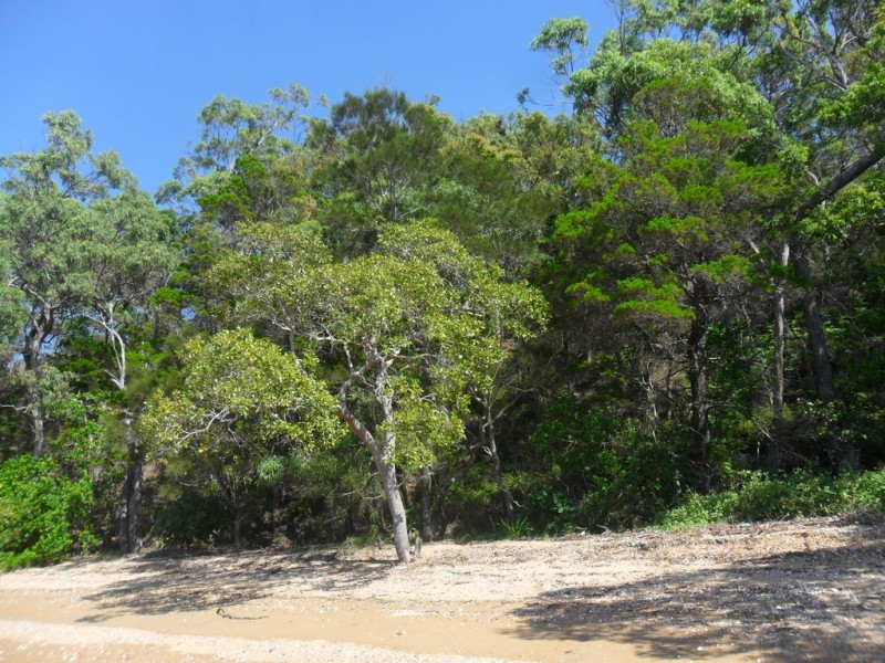 Macleay Island QLD 4184