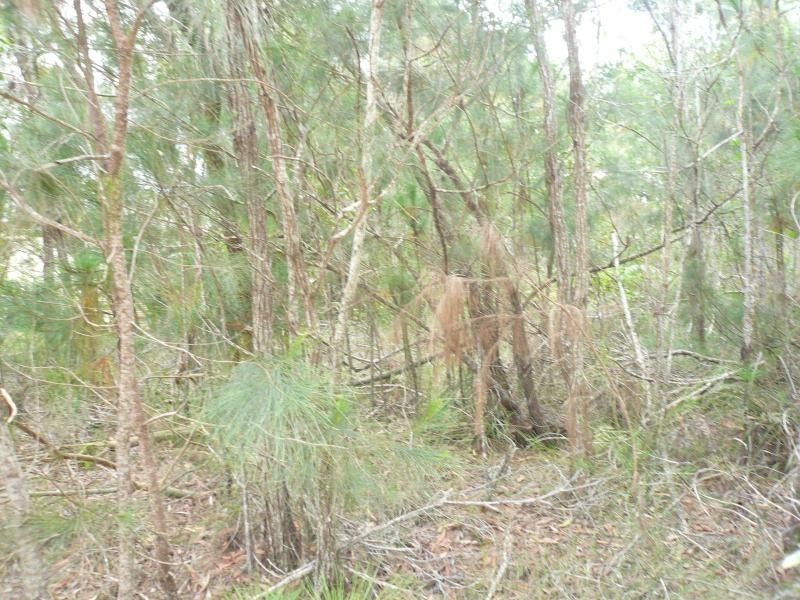 7 BELAR, Lamb Island QLD 4184