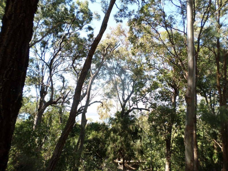 75 BEELONG STREET, Macleay Island QLD 4184