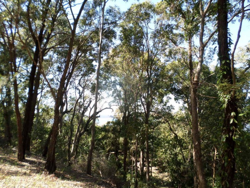 75 BEELONG STREET, Macleay Island QLD 4184