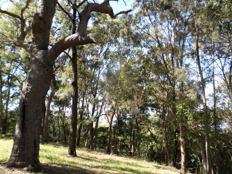 75 BEELONG STREET, Macleay Island QLD 4184