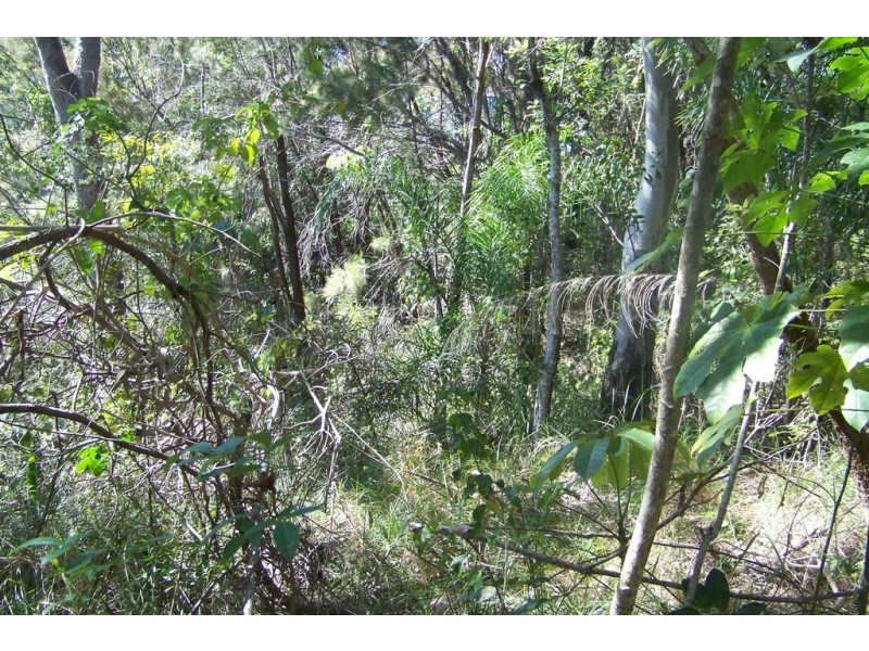 105 PERULPA DR, Lamb Island QLD 4184