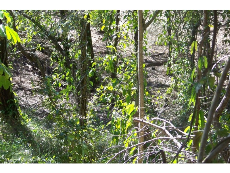 105 PERULPA DR, Lamb Island QLD 4184