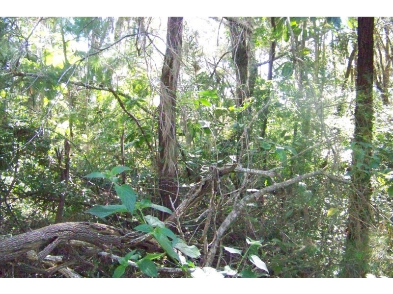 105 PERULPA DR, Lamb Island QLD 4184