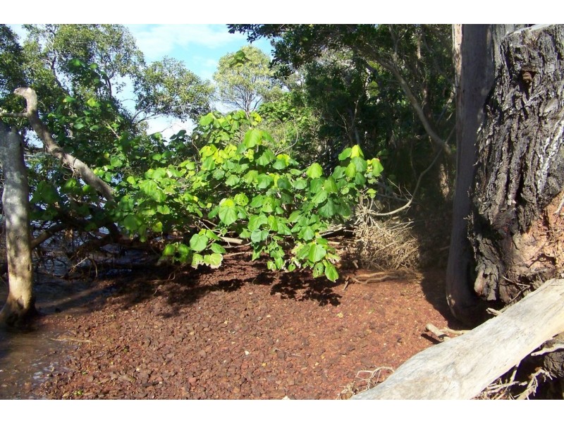 28 TINA AVE, Lamb Island QLD 4184