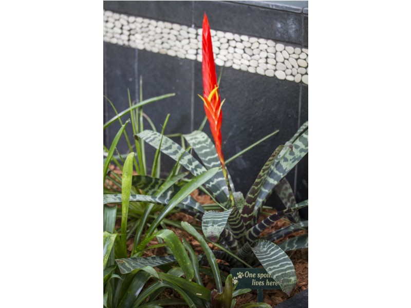 20 The Esplanade, Karragarra Island QLD 4184