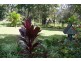 97 to 99 High Central Rd, Macleay Island QLD 4184