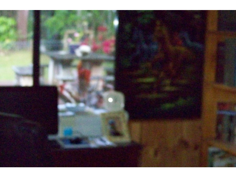 61 LUCAS DRIVE, Lamb Island QLD 4184