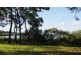 41 Blue Bay Crescent, Macleay Island QLD 4184