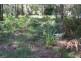 44 Arthur St, Macleay Island QLD 4184