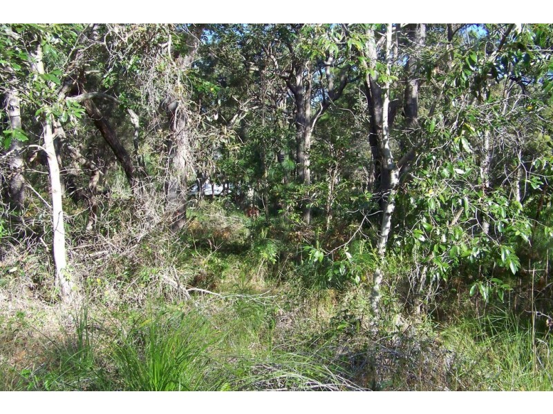 18 BELAR ST, Lamb Island QLD 4184