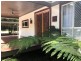 56 ALEXANDER STREET, Macleay Island QLD 4184