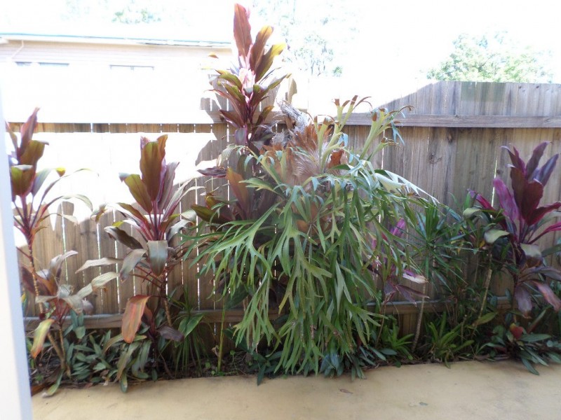 2 HEATH ST, Macleay Island QLD 4184