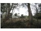 51 Jasper Street, Russell Island QLD 4184