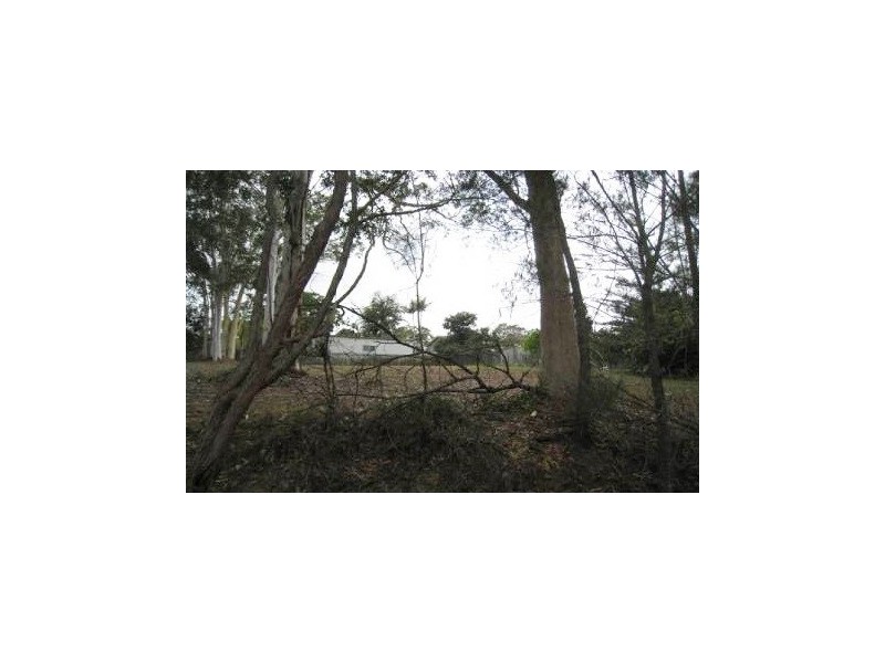 51 Jasper Street, Russell Island QLD 4184