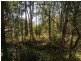 9 Belgrave Road, Russell Island QLD 4184