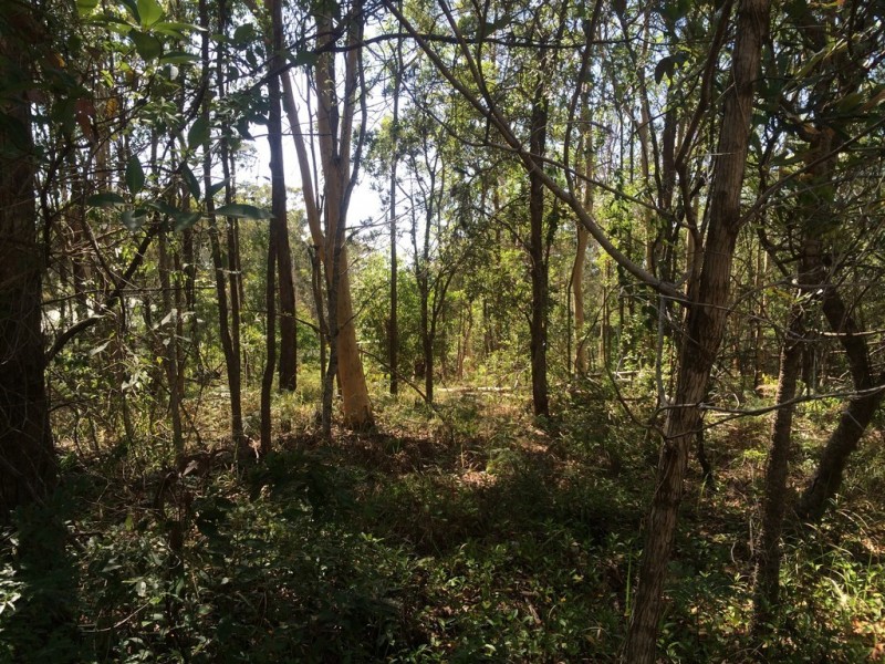 9 Belgrave Road, Russell Island QLD 4184