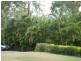 37 KARDINIA STREET, Macleay Island QLD 4184